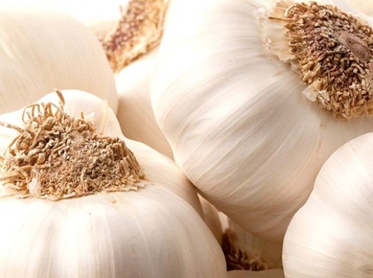 Food for thought - Garlic sales