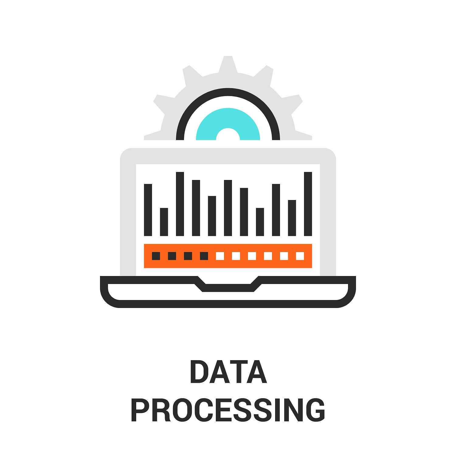 6 step checklist for processing data